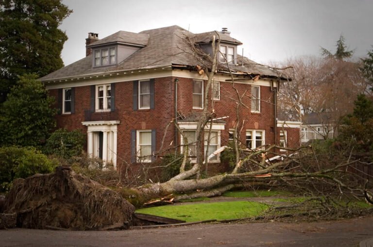 What to Do After Hail or Wind Damages Your Roof